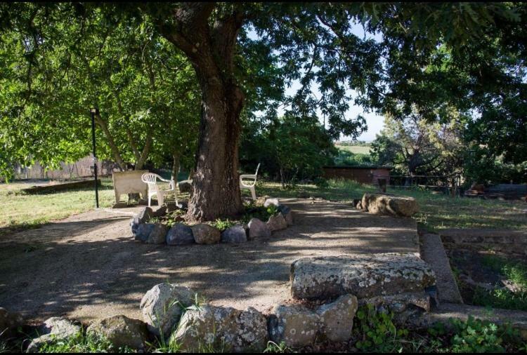 Favoloso Appartamento In Villa Monterosi 외부 사진