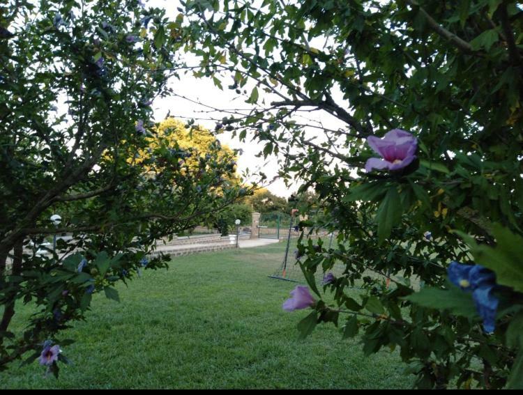 Favoloso Appartamento In Villa Monterosi 외부 사진