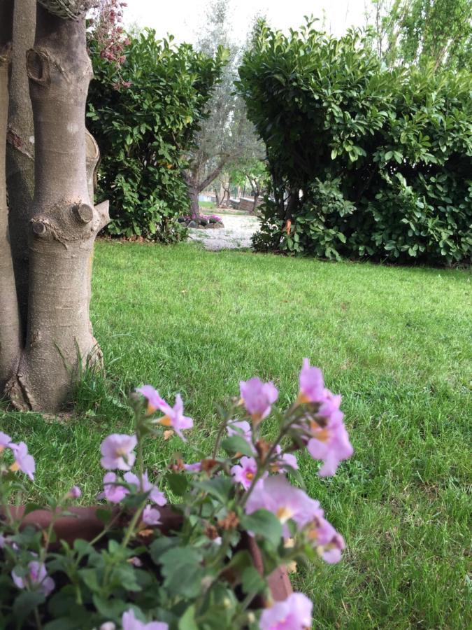 Favoloso Appartamento In Villa Monterosi 외부 사진