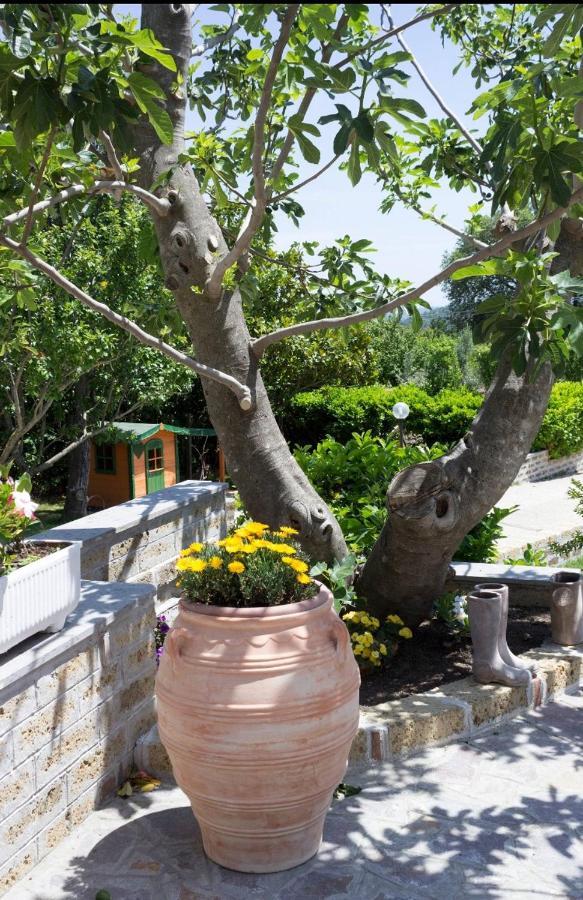 Favoloso Appartamento In Villa Monterosi 외부 사진